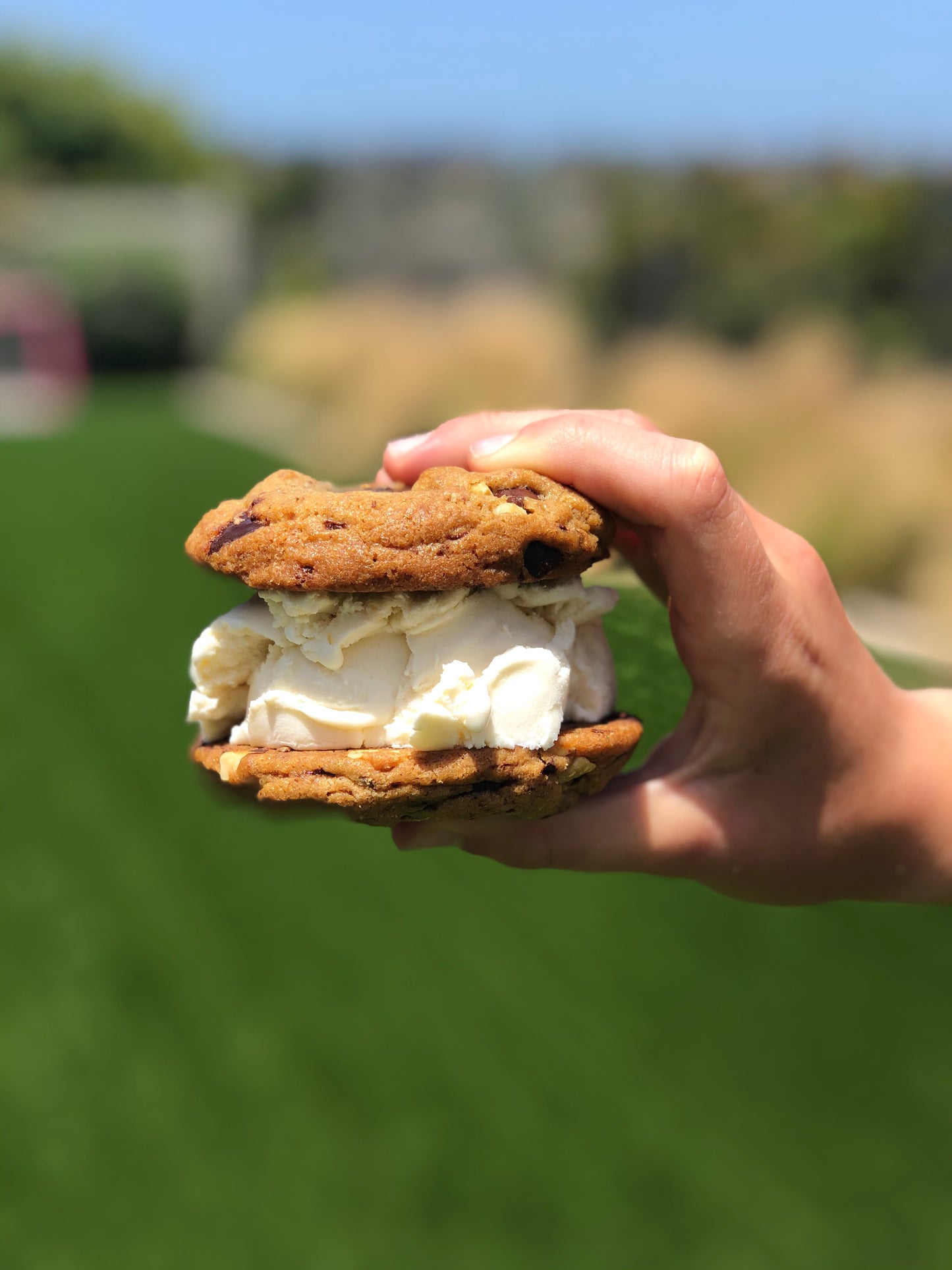 Ultimate Brown Butter Choc Chip Cookie